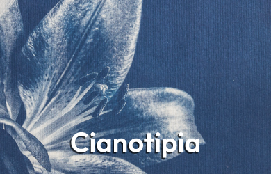 Cianotipia