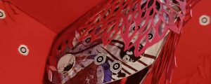 b_IMG-20250721-WA0020