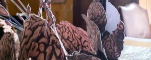 b_IMG_20220212_114233