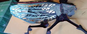 b_IMG_20240211_091459