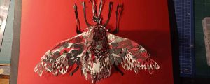b_IMG_20250110_190559