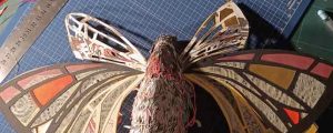 b_IMG_20250209_143051