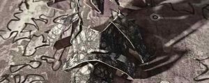 b_IMG_20250314_110404