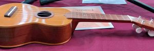 b_ukelele8 b_ukelele8